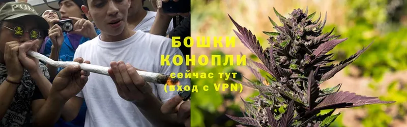 Каннабис OG Kush  Вичуга 